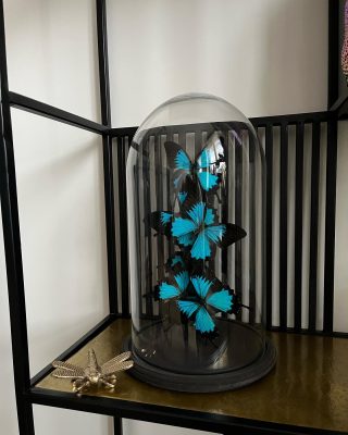 EMBRACE THE CHANGE, THE OUTCOME IS BEAUTIFUL #butterfly #blue #stolp #interior #luxury #interieurstyling #inspiration #quotes #living #pot&vaas